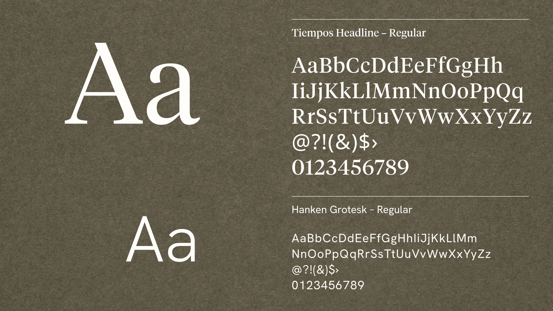 Type Specimen